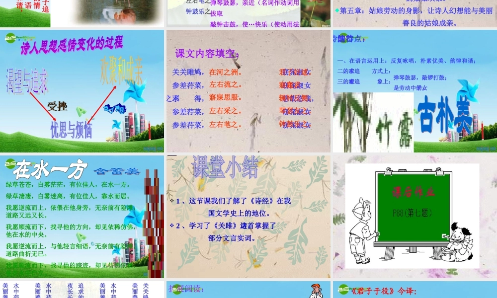 九年级语文下册(关雎)教学课件 人教新课标版 课件