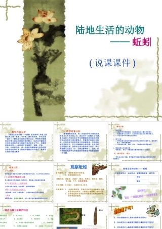 八年级生物蚯蚓说课课件