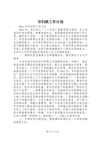 市妇联工作计划
