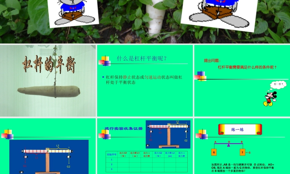 八年级物理科学探究杠杆平衡条件课件 上海科技版 课件