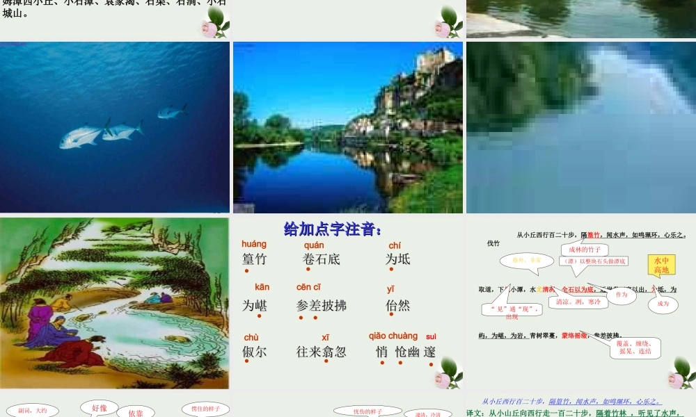 八年级语文下册 (小石潭记)教学课件 河大版 课件