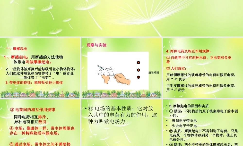 九年级物理上册 31 电现象课件 (新版)教科版 课件