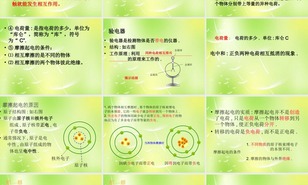 九年级物理上册 31 电现象课件 (新版)教科版 课件