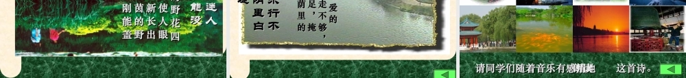 八年级语文上册(钱塘湖春行)课件4长春版 课件