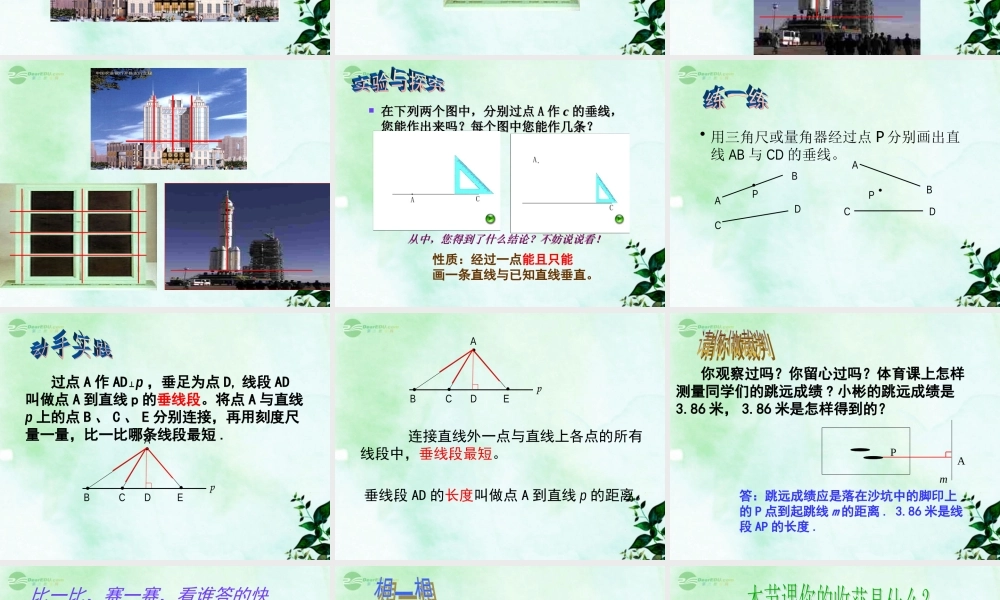 八年级数学上册(9.5垂直)课件 青岛版 课件