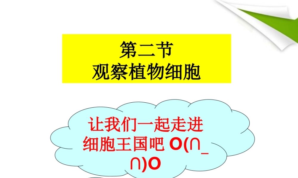 七年级生物上册 观察植物 动物细胞实验课课件 人教新课标版 课件
