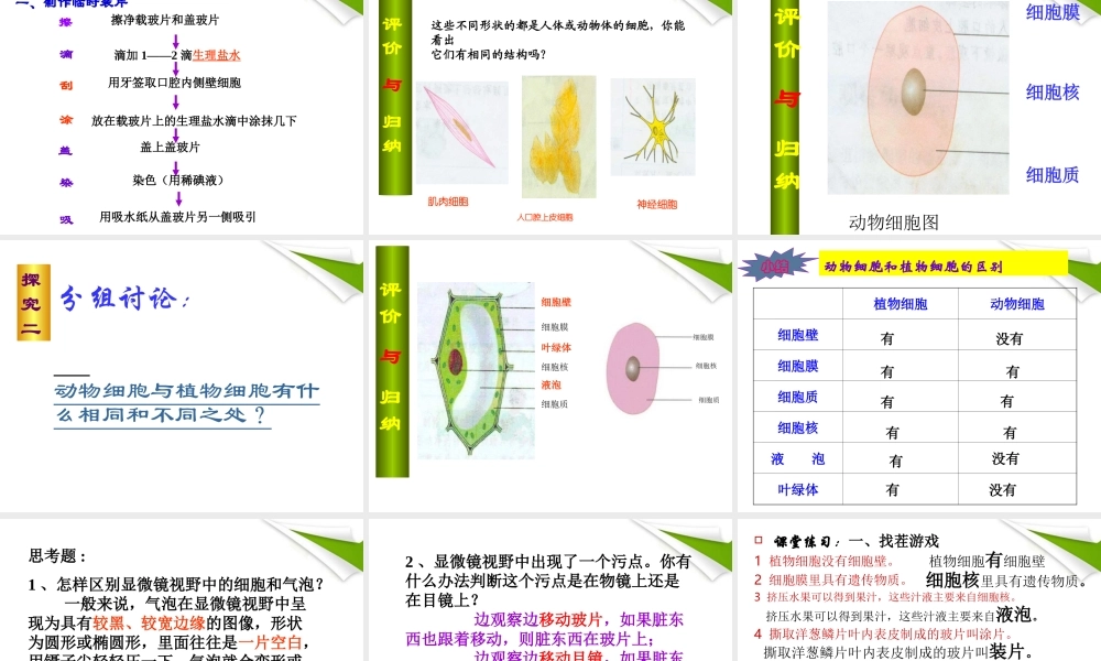 七年级生物上册 观察植物 动物细胞实验课课件 人教新课标版 课件