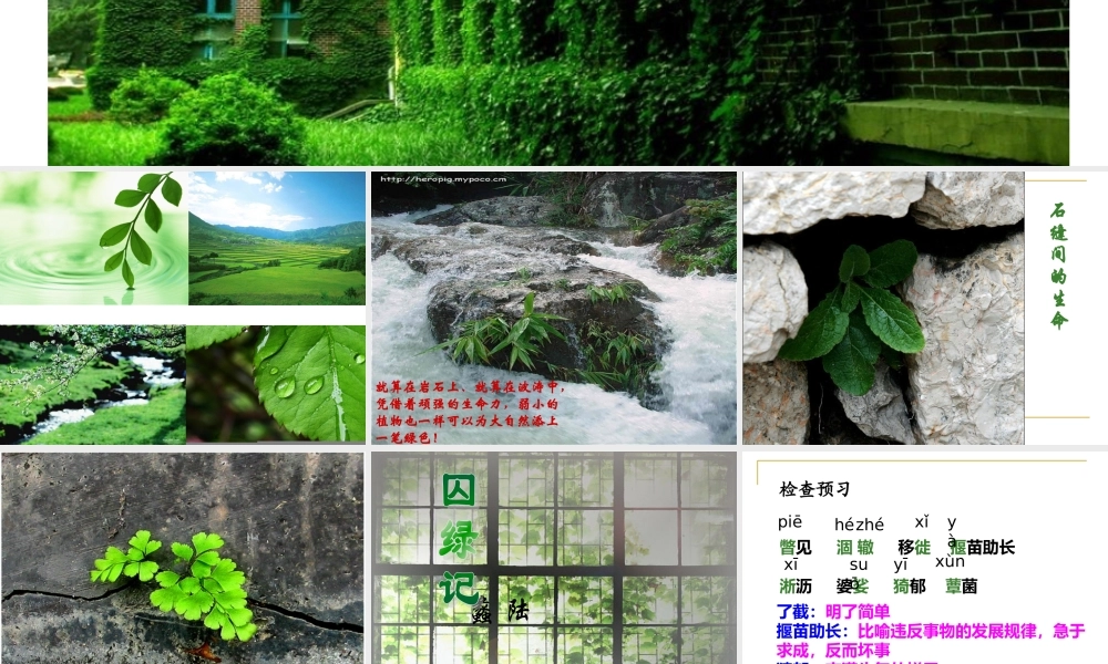 《囚绿记》课件3课堂