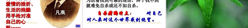 《囚绿记》课件3课堂