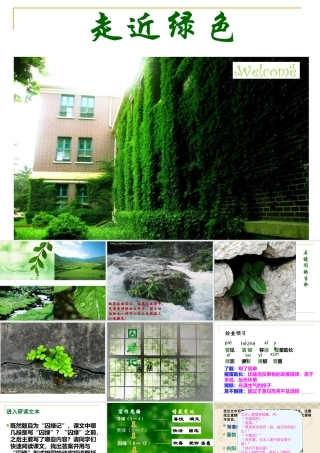 《囚绿记》课件3课堂