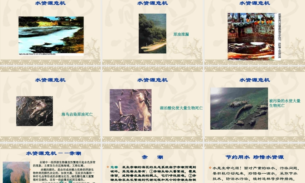 九年级物理全114水资源危机与节约用水课件沪科版 课件