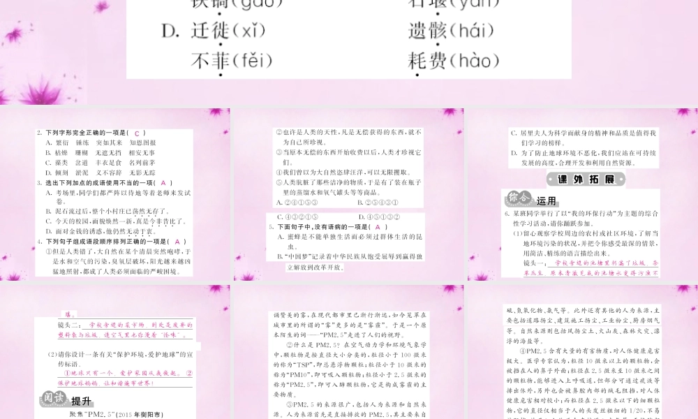 九年级语文下册 19 善待家园课件 语文版 课件