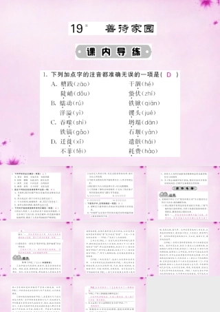 九年级语文下册 19 善待家园课件 语文版 课件