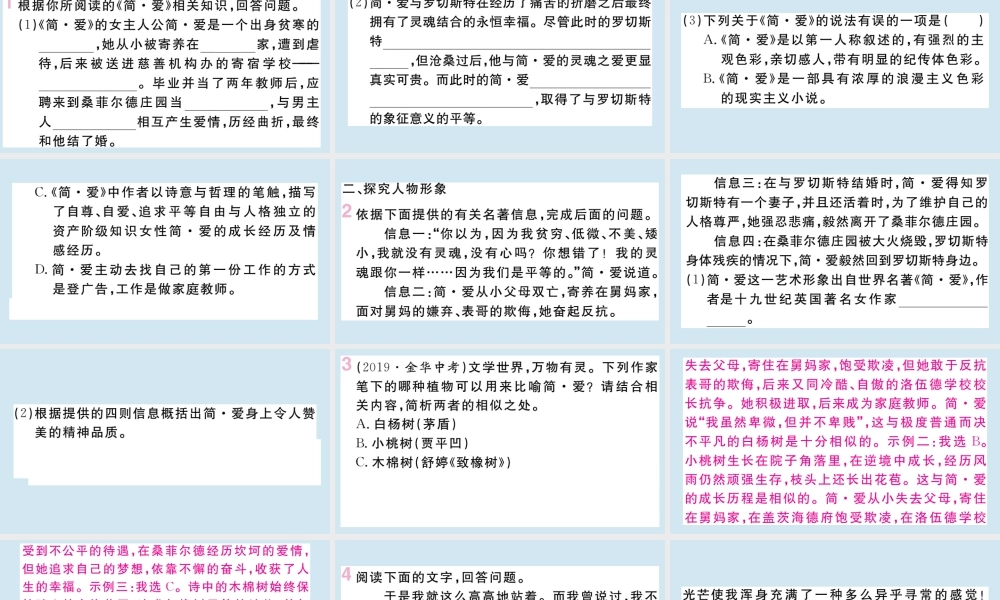 九年级语文下册 第六单元 名著导读(简 爱)作业课件 新人教版 课件