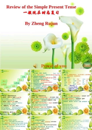 九年级英语Review of the Simple Present Tense课件人教版 课件