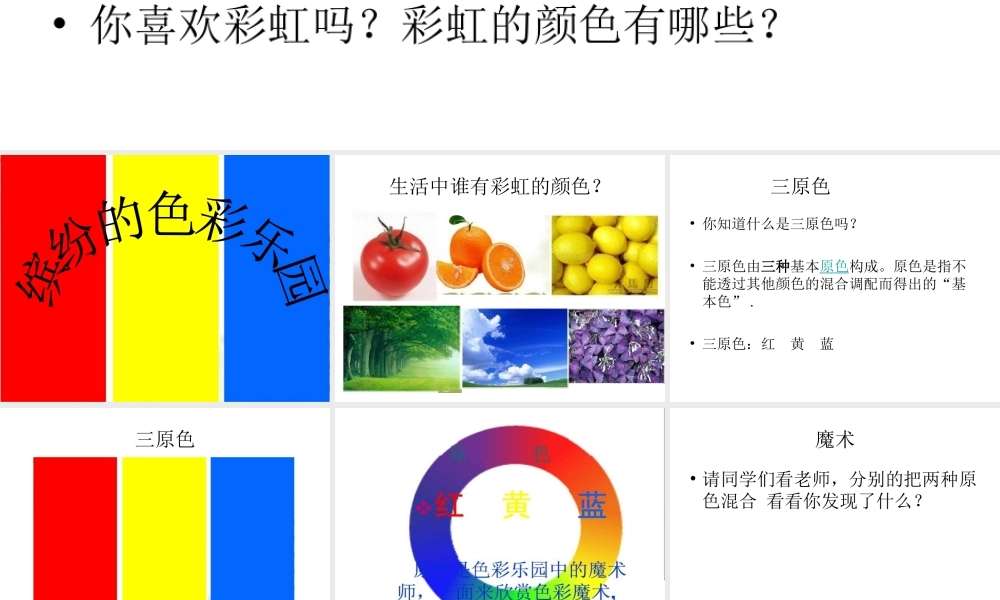 缤纷的色彩乐园
