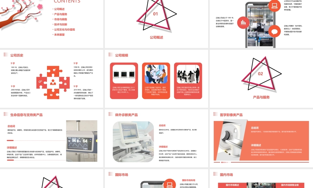 迈瑞公司中文简介v10版课件