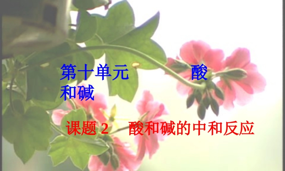中考化学 第十单元 酸和碱复习课件 素材