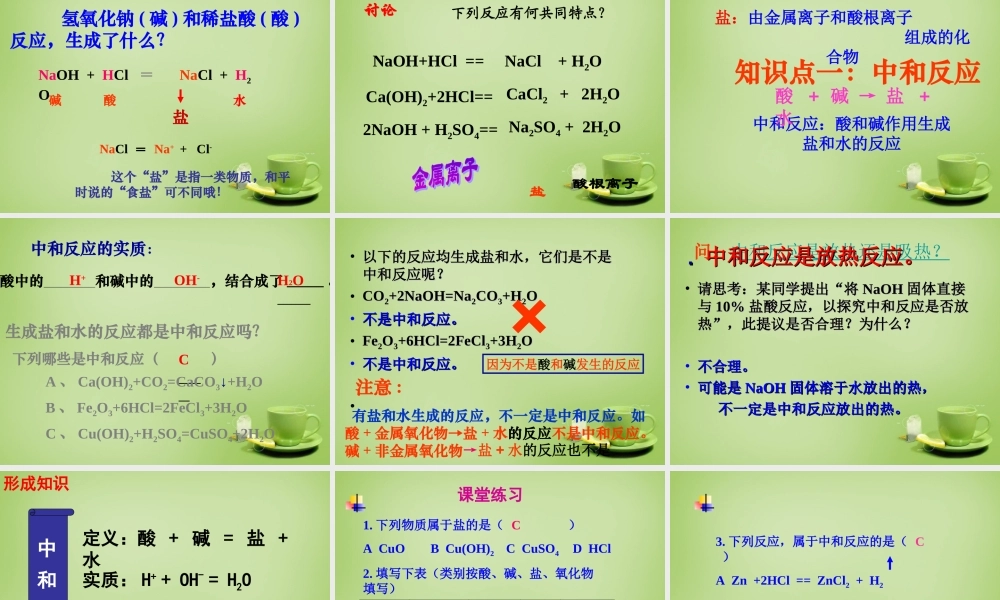 中考化学 第十单元 酸和碱复习课件 素材