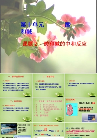 中考化学 第十单元 酸和碱复习课件 素材