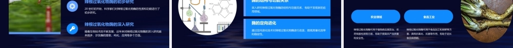 辣根过氧化物酶的提取纯化以及应用课件