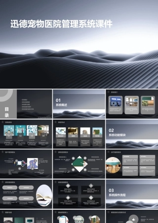 迅德宠物医院管理系统课件