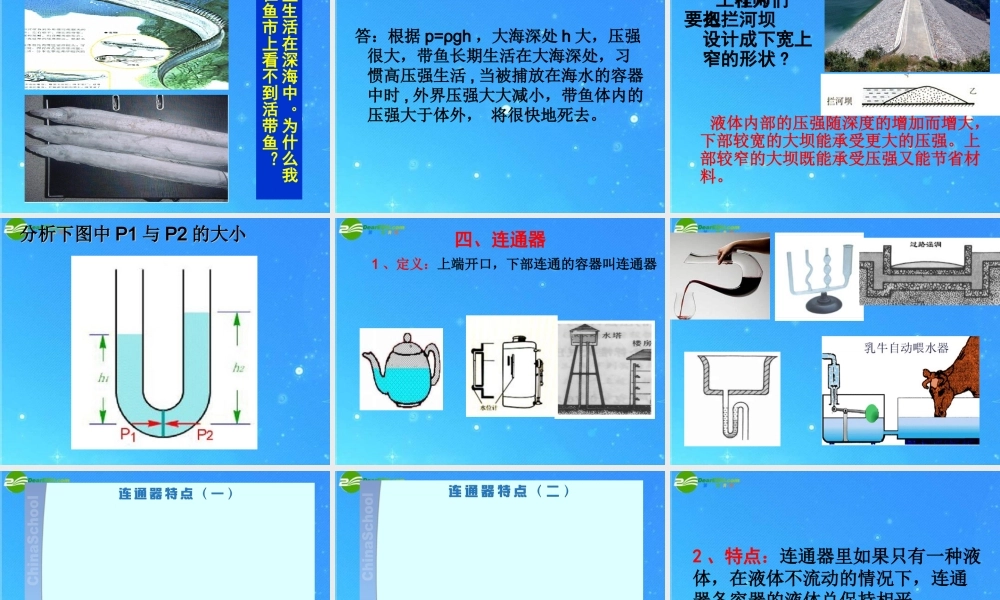 九年级物理 第十四章第二节液体的压强课件 人教新课标版 课件