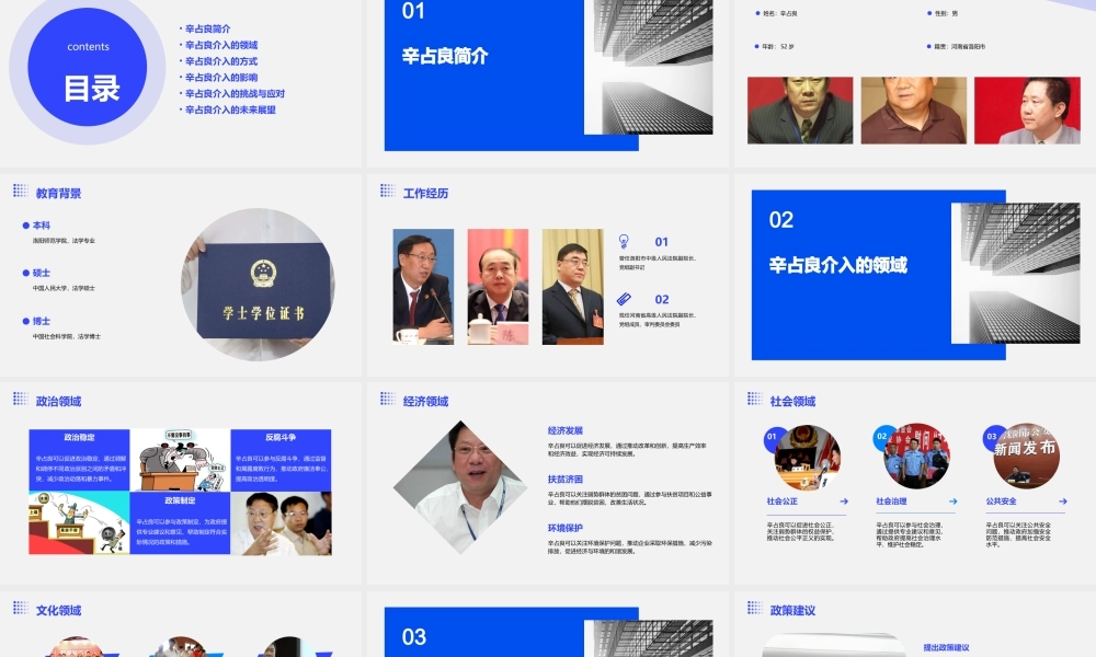 辛占良介入能做些什么课件