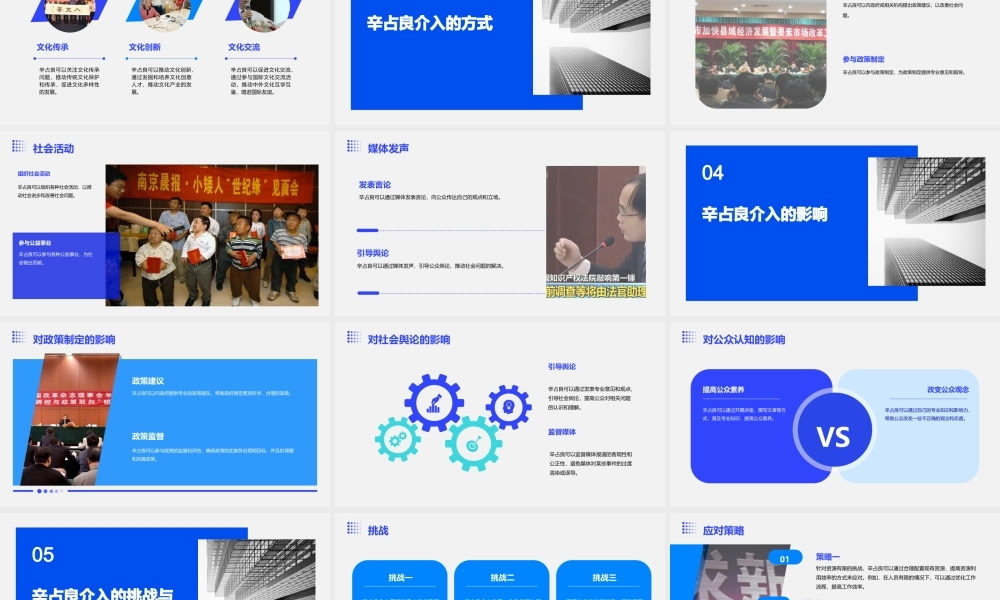 辛占良介入能做些什么课件