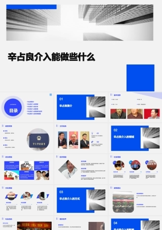 辛占良介入能做些什么课件