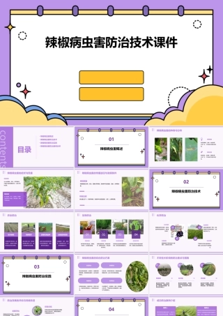 辣椒病虫害防治技术课件