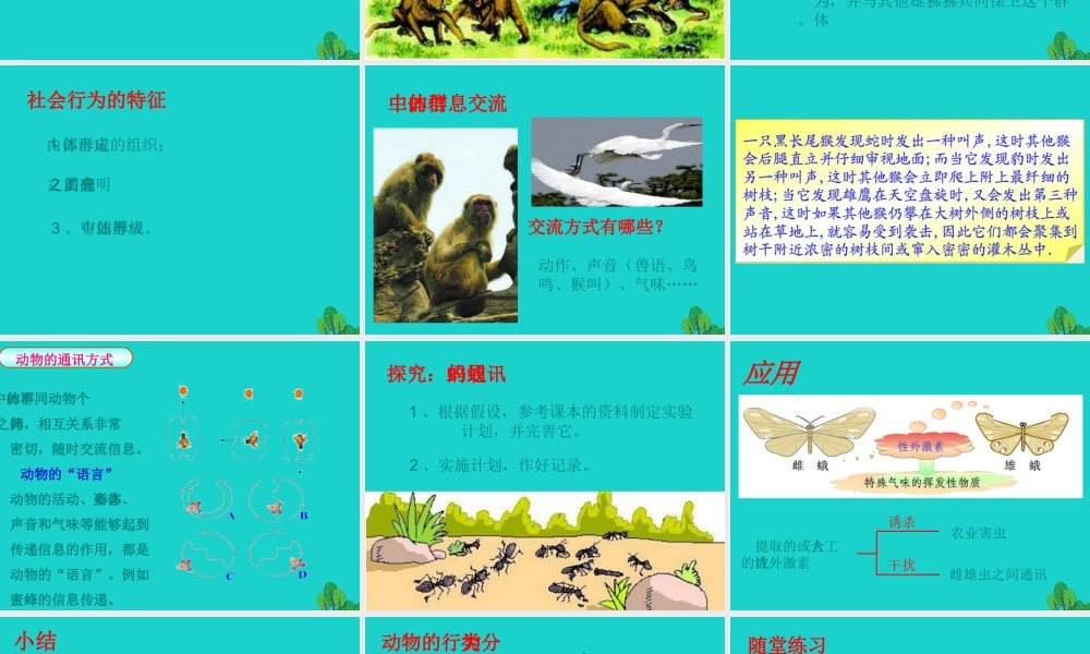 八年级生物上册 第七单元 第二章 第三节 社会行为 动物的行为课件 鲁科版五四制 课件