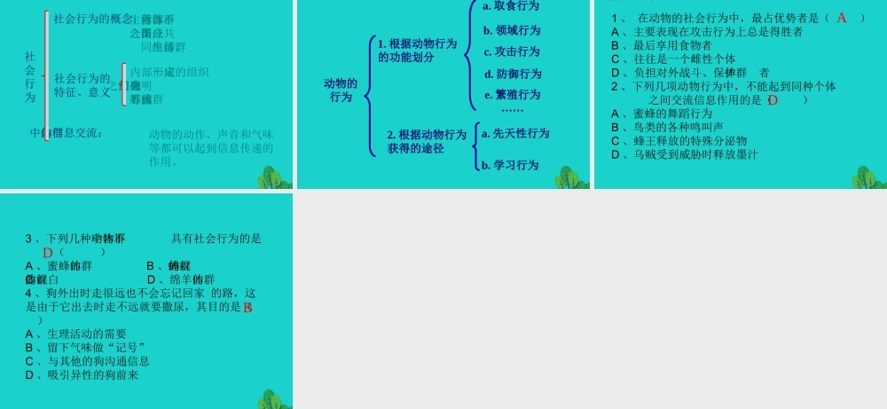 八年级生物上册 第七单元 第二章 第三节 社会行为 动物的行为课件 鲁科版五四制 课件