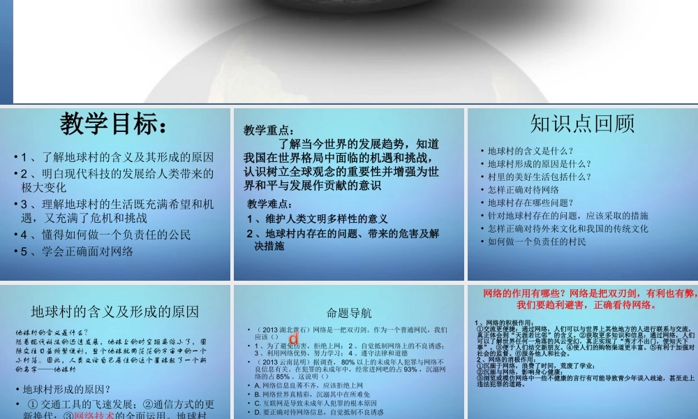 中考地理 生活在地球村复习课件