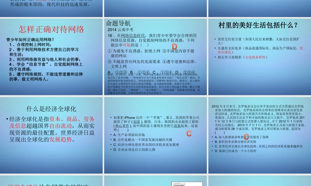 中考地理 生活在地球村复习课件