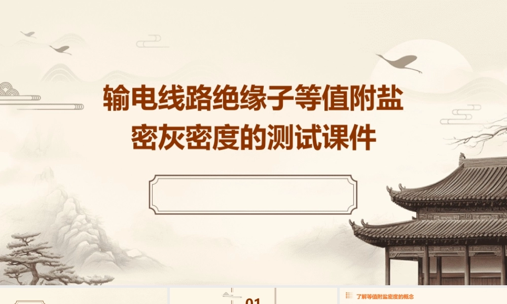 输电线路绝缘子等值附盐密灰密度的测试课件