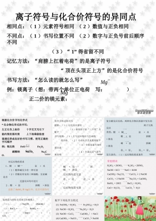初三化学专题复习 离子符号与化合价符号的异同点 课件