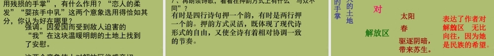 九年级语文下册 2 我用残损的手掌课件8 新人教版 课件
