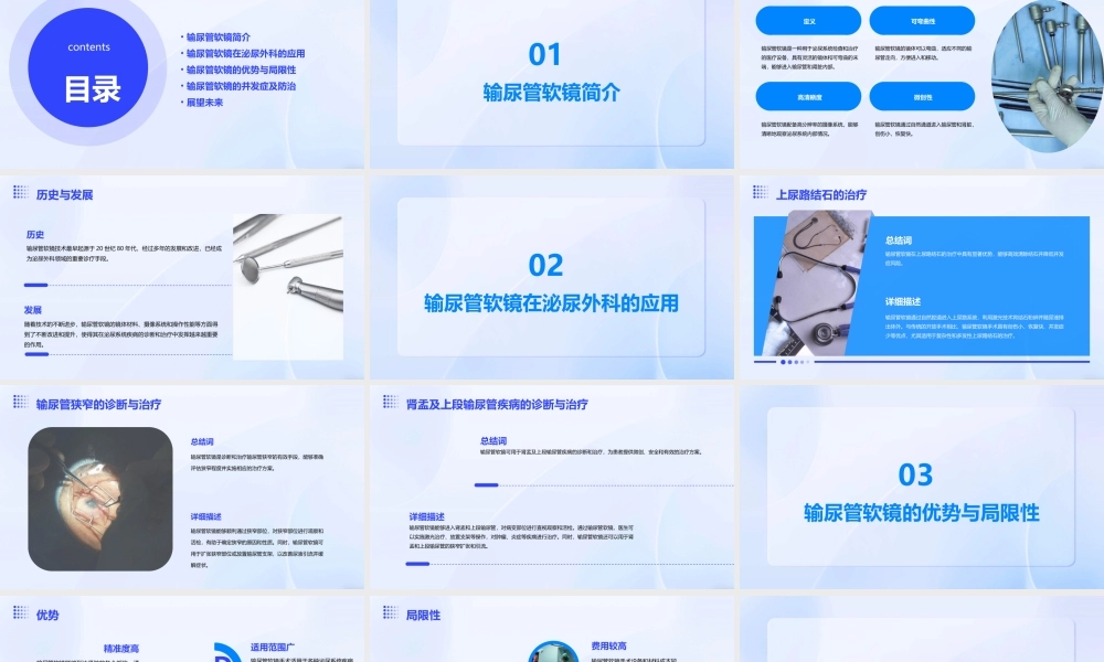输尿管软镜在泌尿外科的应用杨嗣星精简版Mod1课件