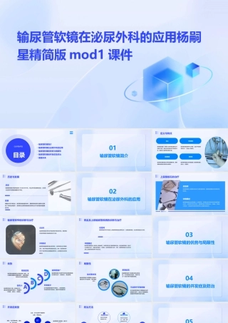 输尿管软镜在泌尿外科的应用杨嗣星精简版Mod1课件