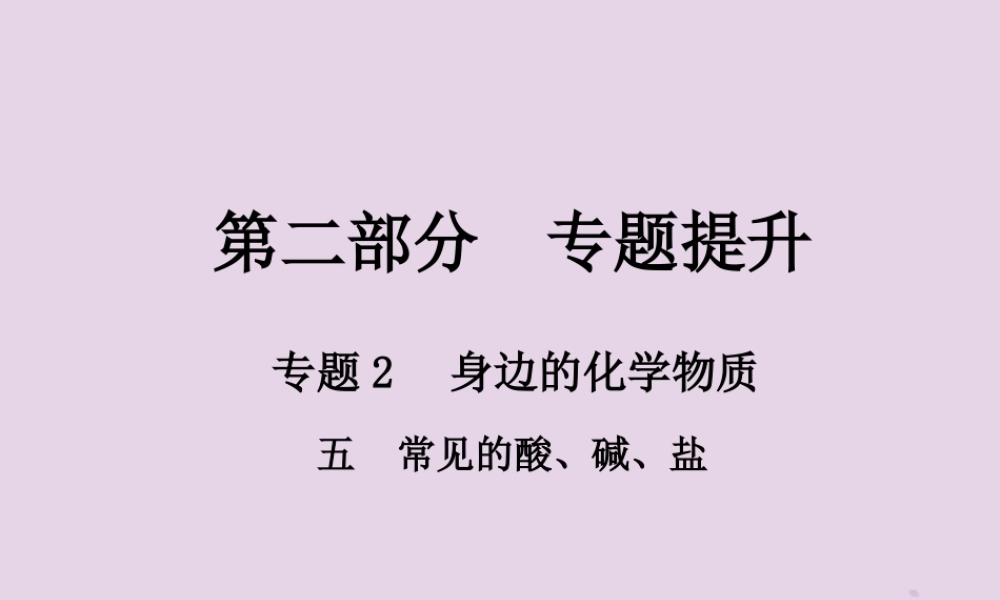 中考化学总复习 第二部分 专题提升 专题2 身边的化学物质 五 常见的酸、碱、盐课件