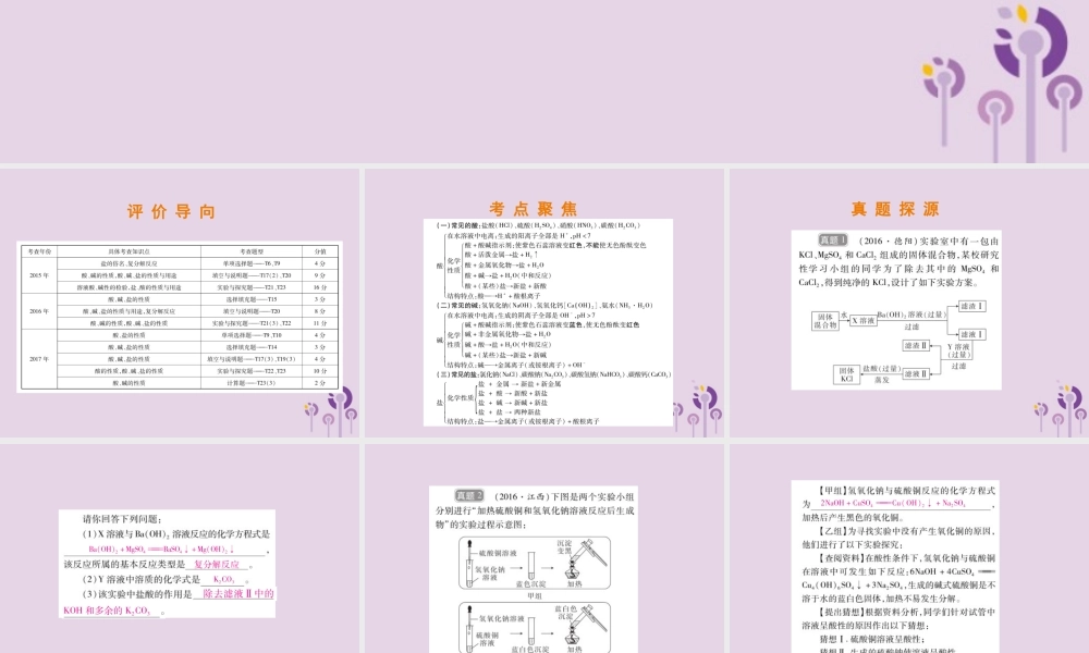 中考化学总复习 第二部分 专题提升 专题2 身边的化学物质 五 常见的酸、碱、盐课件