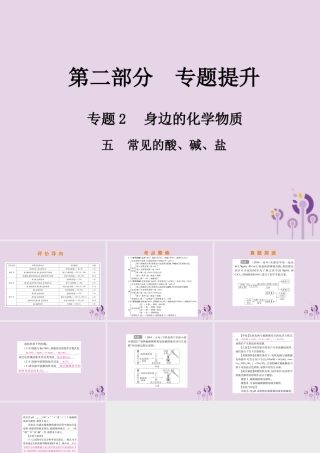 中考化学总复习 第二部分 专题提升 专题2 身边的化学物质 五 常见的酸、碱、盐课件