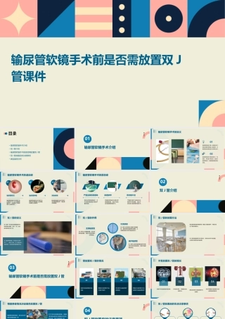 输尿管软镜手术前是否需放置双J管课件