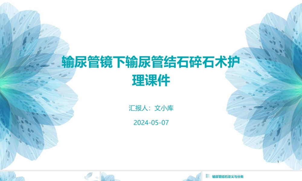 输尿管镜下输尿管结石碎石术护理课件