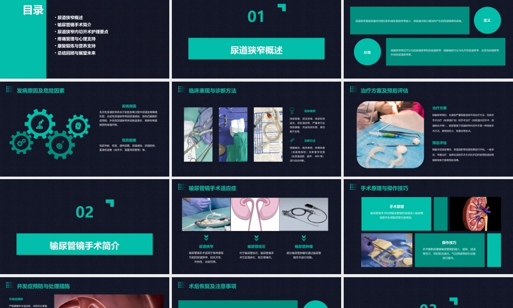 输尿管镜下尿道狭窄内切开术护理课件