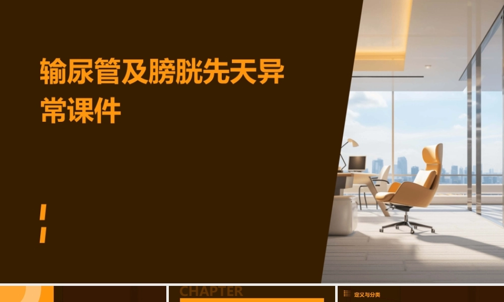 输尿管及膀胱先天异常课件