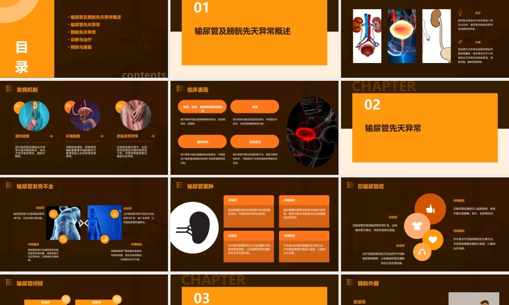 输尿管及膀胱先天异常课件