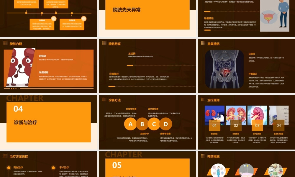 输尿管及膀胱先天异常课件