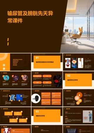 输尿管及膀胱先天异常课件